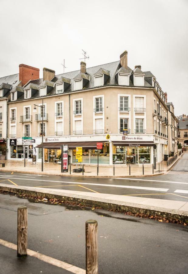布鲁瓦Les Lumieres De La Loire公寓 外观 照片
