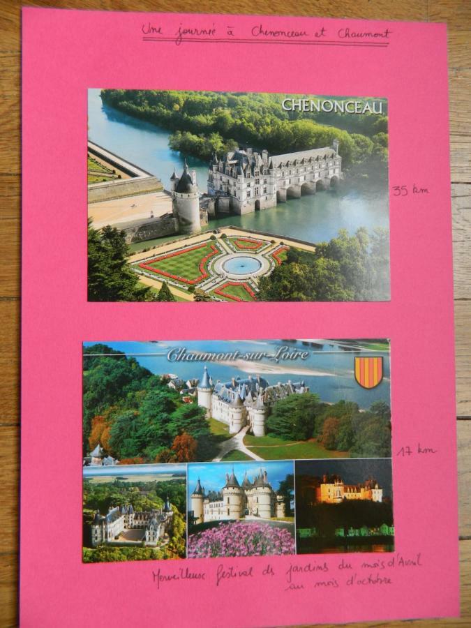 布鲁瓦Les Lumieres De La Loire公寓 外观 照片