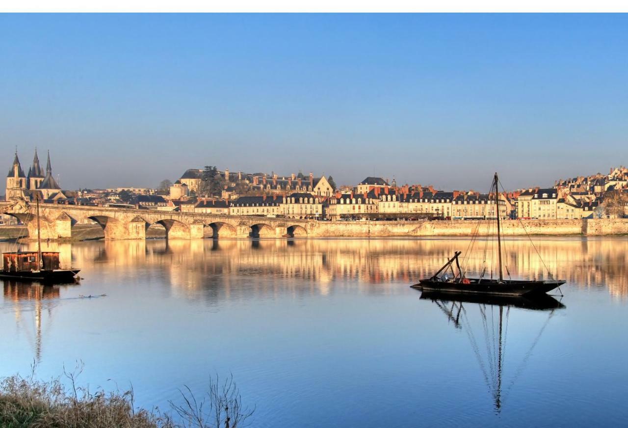 布鲁瓦Les Lumieres De La Loire公寓 外观 照片